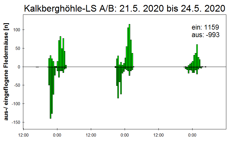 [Fledermaus] Lichtschranke: Segeberger Kalkberg (NABU Schleswig-Holstein)
