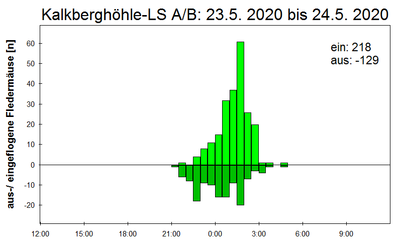 [Fledermaus] Lichtschranke: Segeberger Kalkberg (NABU Schleswig-Holstein)