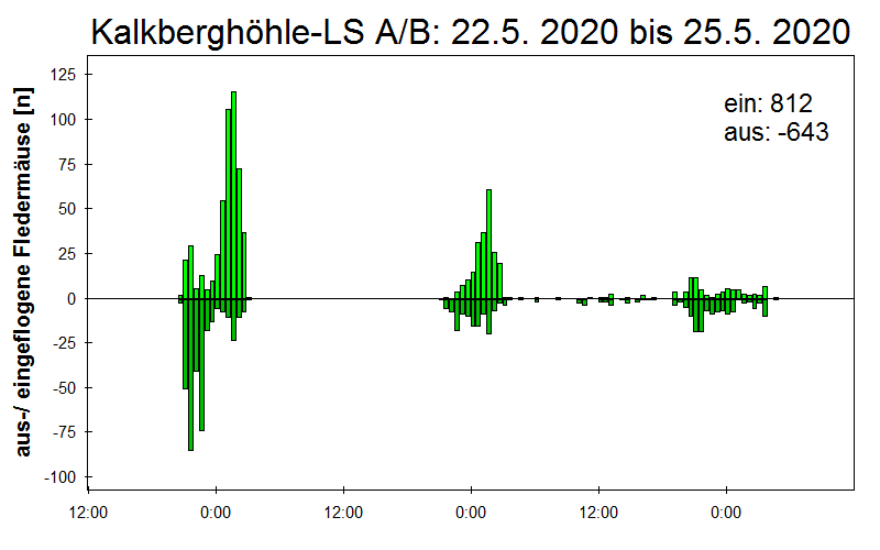 [Fledermaus] Lichtschranke: Segeberger Kalkberg (NABU Schleswig-Holstein)