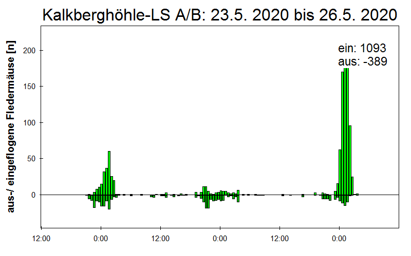 [Fledermaus] Lichtschranke: Segeberger Kalkberg (NABU Schleswig-Holstein)