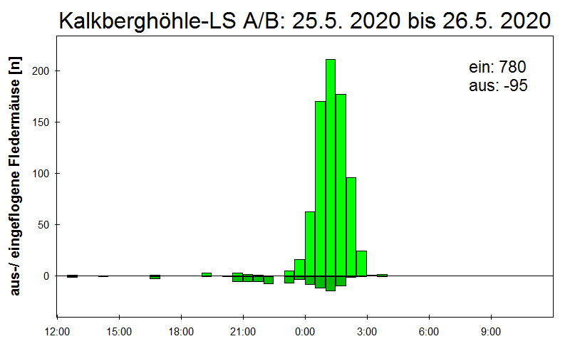 [Fledermaus] Lichtschranke: Segeberger Kalkberg (NABU Schleswig-Holstein)