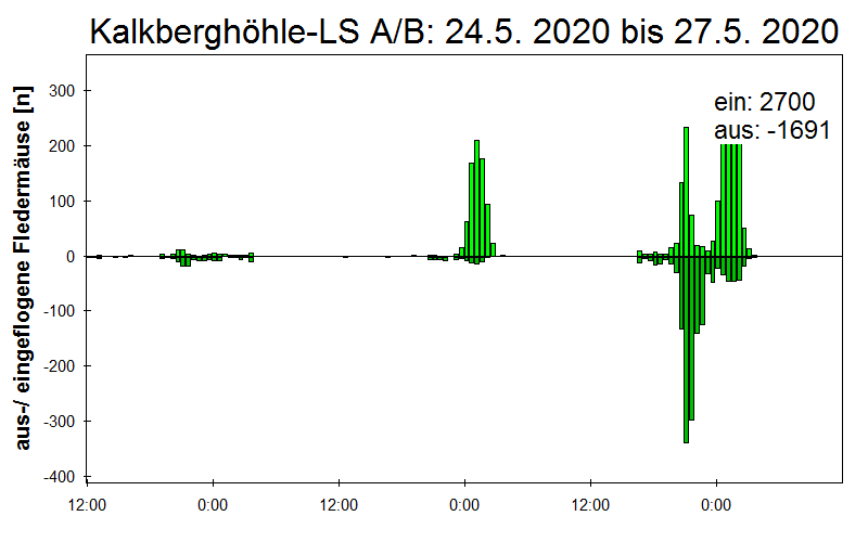 [Fledermaus] Lichtschranke: Segeberger Kalkberg (NABU Schleswig-Holstein)