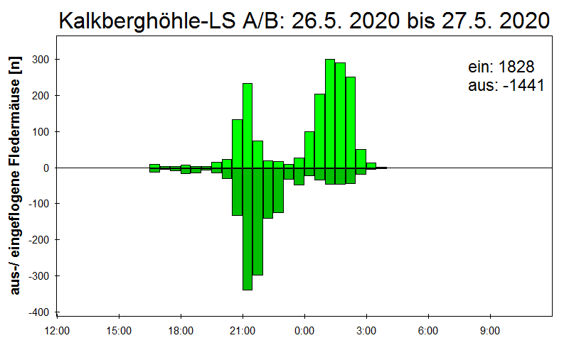 [Fledermaus] Lichtschranke: Segeberger Kalkberg (NABU Schleswig-Holstein)