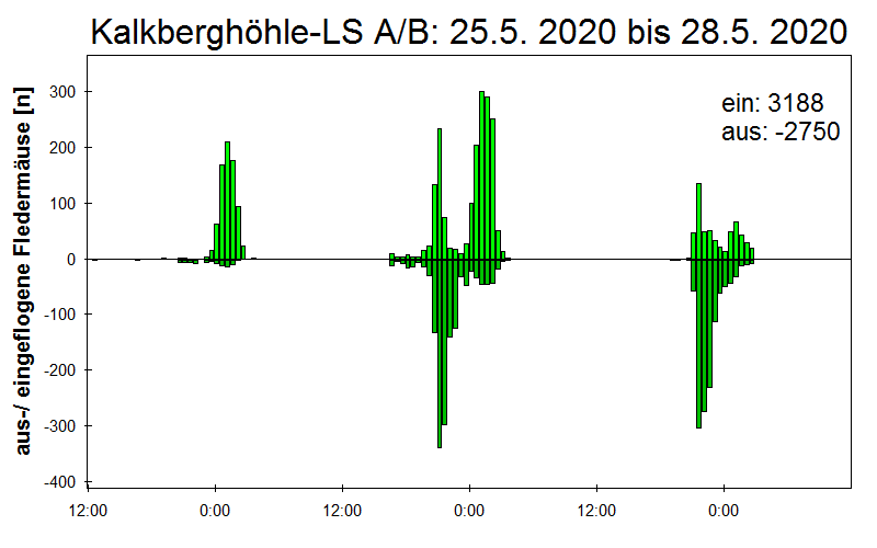 [Fledermaus] Lichtschranke: Segeberger Kalkberg (NABU Schleswig-Holstein)