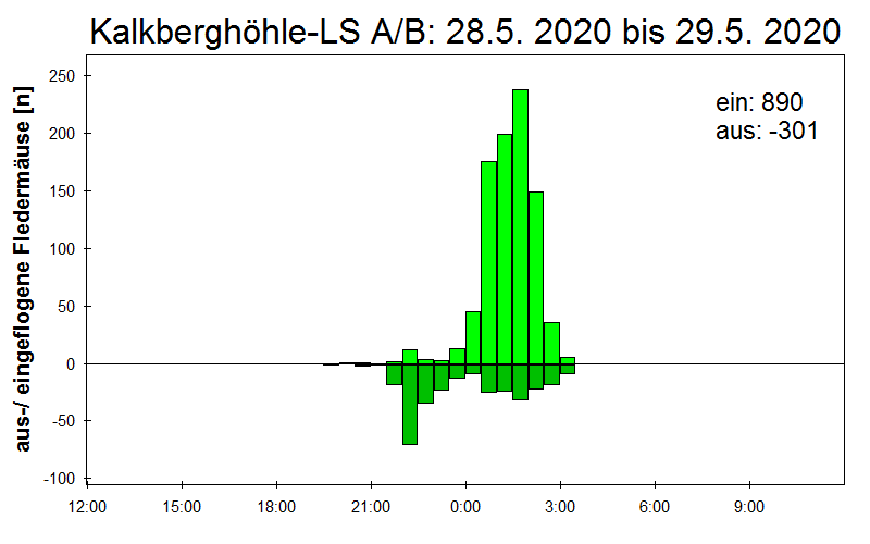 [Fledermaus] Lichtschranke: Segeberger Kalkberg (NABU Schleswig-Holstein)
