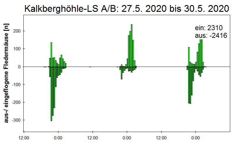 [Fledermaus] Lichtschranke: Segeberger Kalkberg (NABU Schleswig-Holstein)