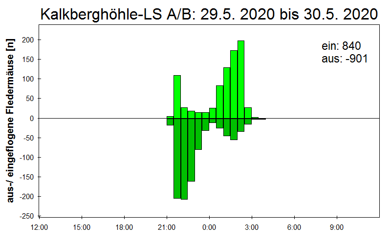 [Fledermaus] Lichtschranke: Segeberger Kalkberg (NABU Schleswig-Holstein)