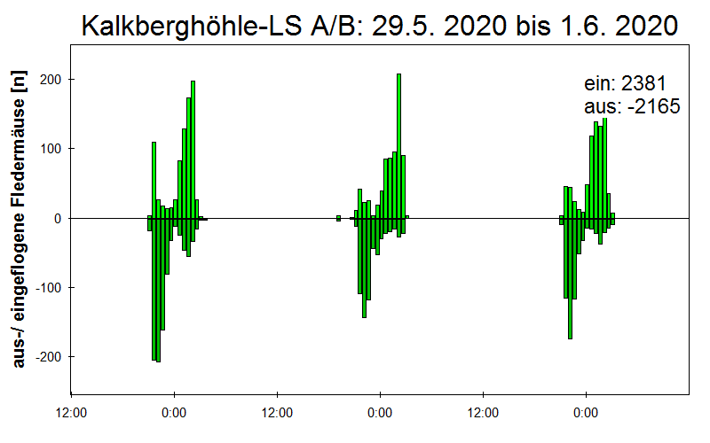 [Fledermaus] Lichtschranke: Segeberger Kalkberg (NABU Schleswig-Holstein)