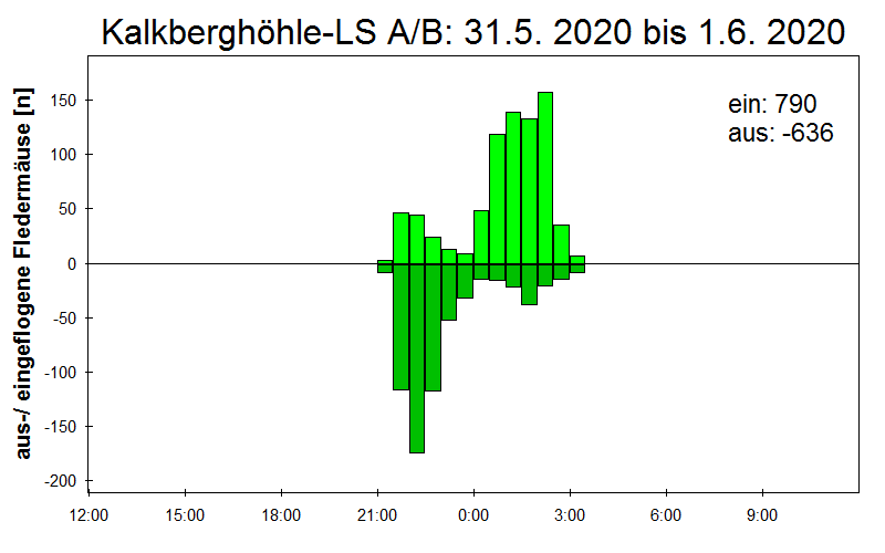 [Fledermaus] Lichtschranke: Segeberger Kalkberg (NABU Schleswig-Holstein)