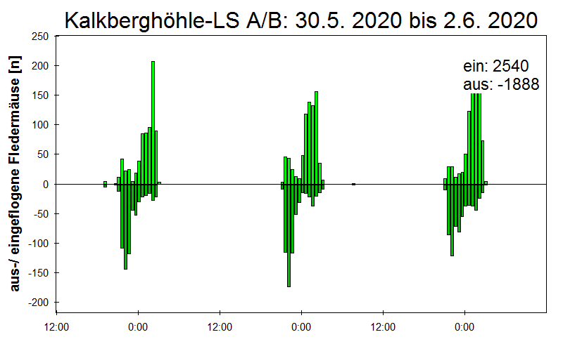 [Fledermaus] Lichtschranke: Segeberger Kalkberg (NABU Schleswig-Holstein)