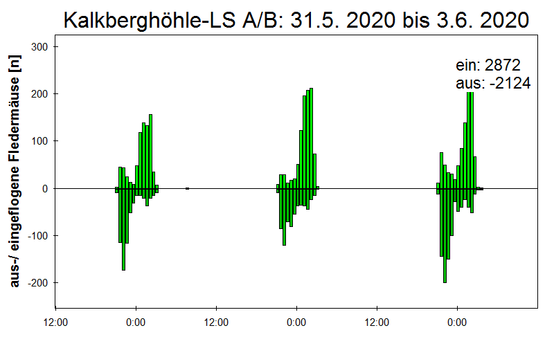 [Fledermaus] Lichtschranke: Segeberger Kalkberg (NABU Schleswig-Holstein)