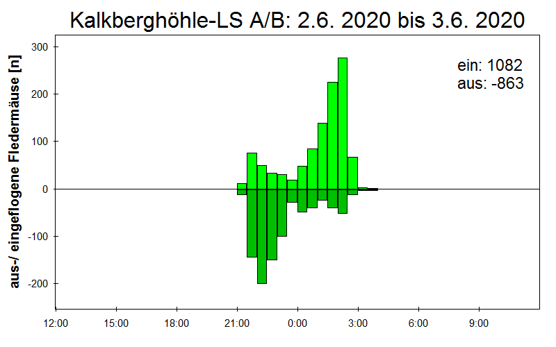 [Fledermaus] Lichtschranke: Segeberger Kalkberg (NABU Schleswig-Holstein)