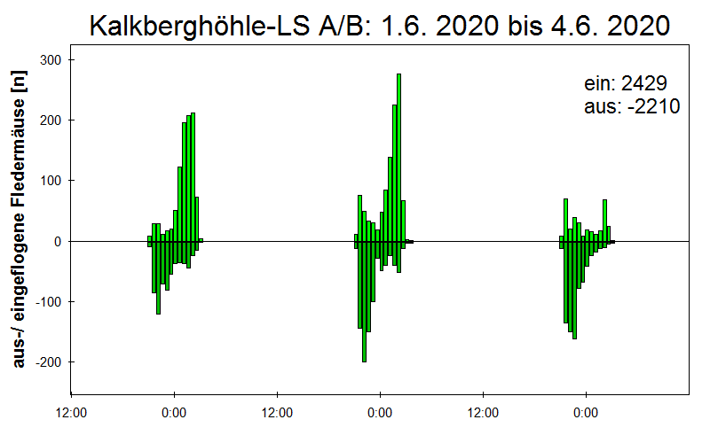 [Fledermaus] Lichtschranke: Segeberger Kalkberg (NABU Schleswig-Holstein)