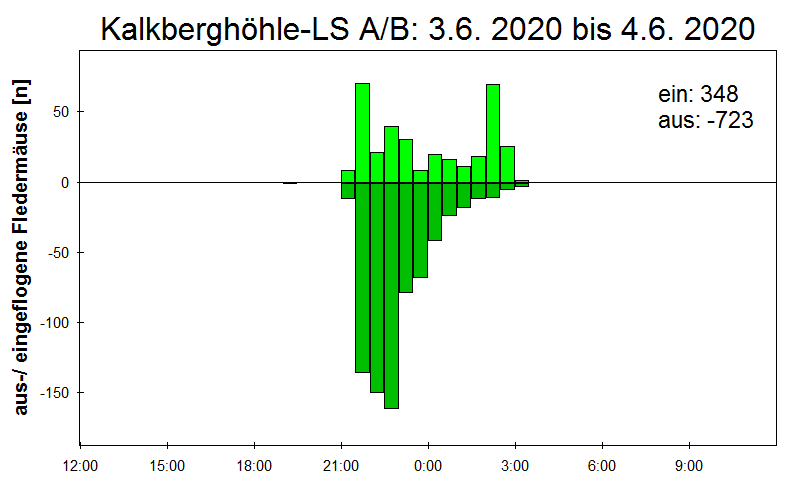 [Fledermaus] Lichtschranke: Segeberger Kalkberg (NABU Schleswig-Holstein)