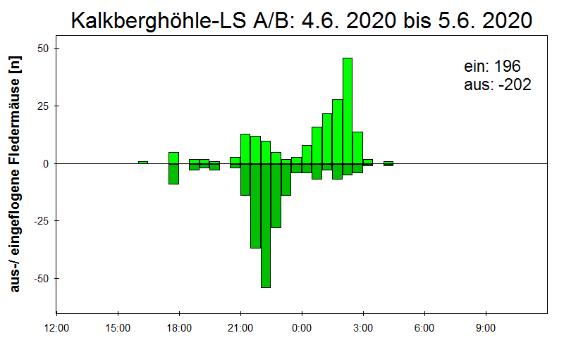 [Fledermaus] Lichtschranke: Segeberger Kalkberg (NABU Schleswig-Holstein)