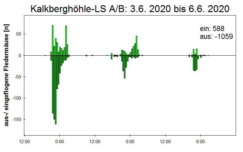 [Fledermaus] Lichtschranke: Segeberger Kalkberg (NABU Schleswig-Holstein)