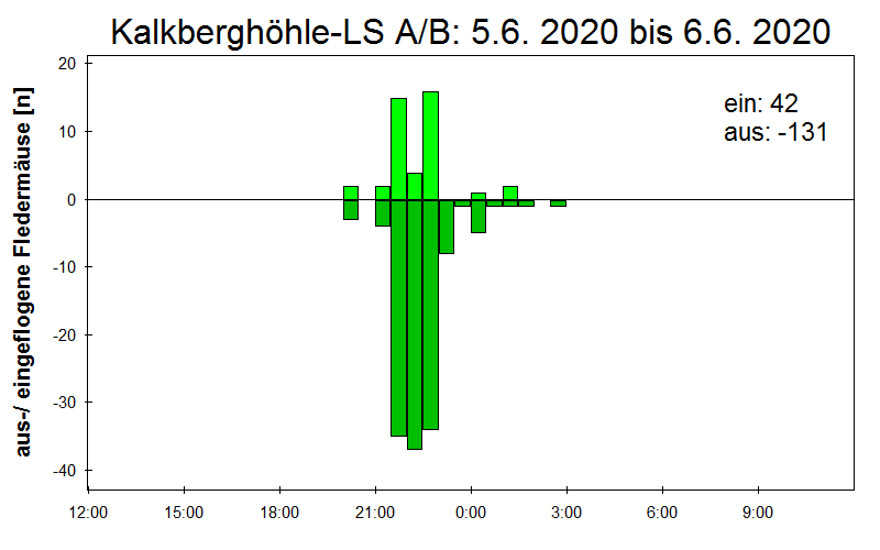 [Fledermaus] Lichtschranke: Segeberger Kalkberg (NABU Schleswig-Holstein)