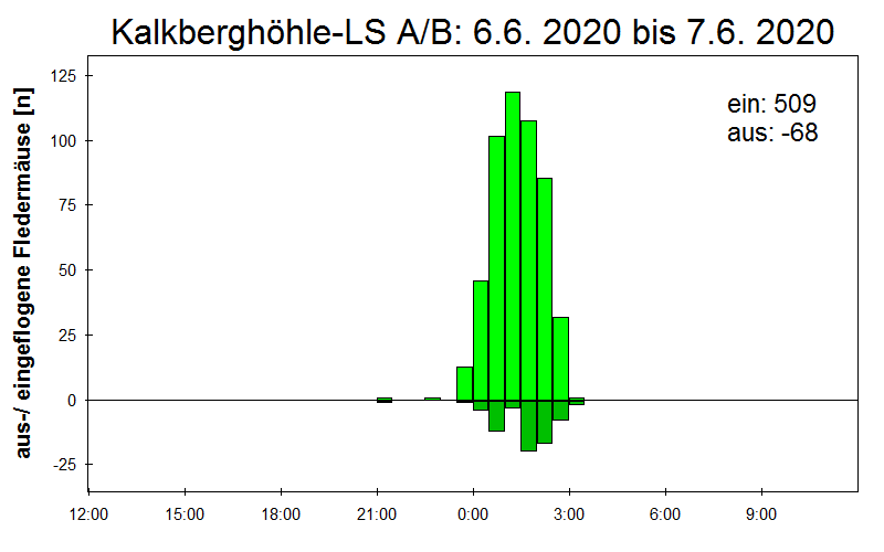 [Fledermaus] Lichtschranke: Segeberger Kalkberg (NABU Schleswig-Holstein)