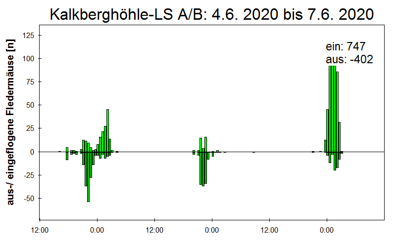 [Fledermaus] Lichtschranke: Segeberger Kalkberg (NABU Schleswig-Holstein)