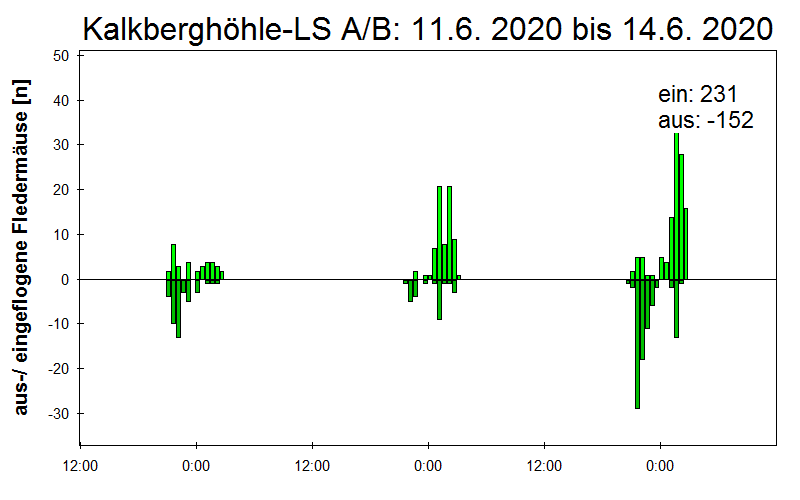[Fledermaus] Lichtschranke: Segeberger Kalkberg (NABU Schleswig-Holstein)