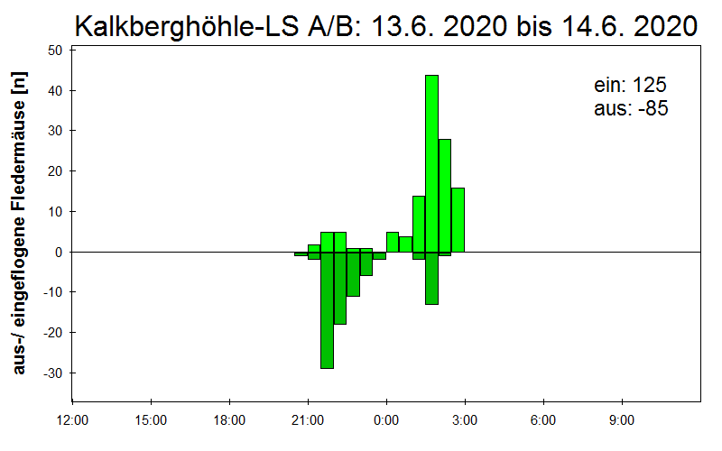[Fledermaus] Lichtschranke: Segeberger Kalkberg (NABU Schleswig-Holstein)