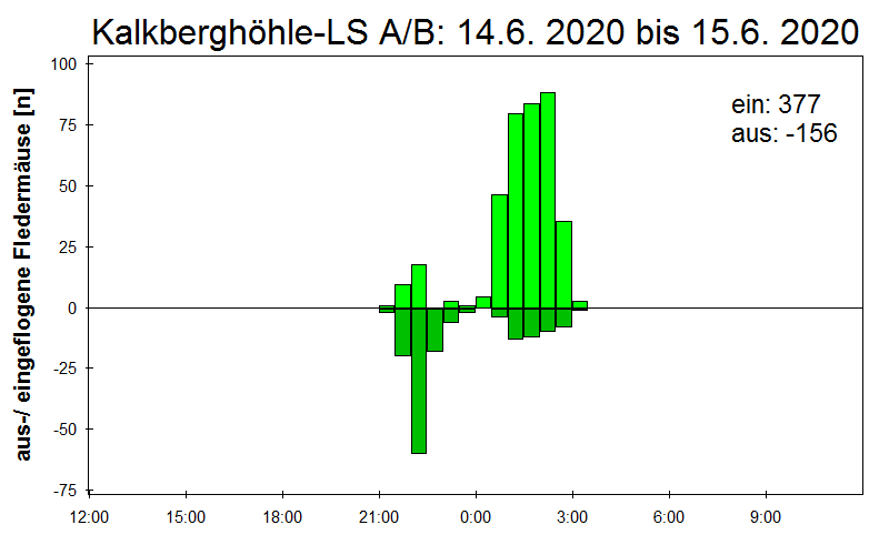 [Fledermaus] Lichtschranke: Segeberger Kalkberg (NABU Schleswig-Holstein)
