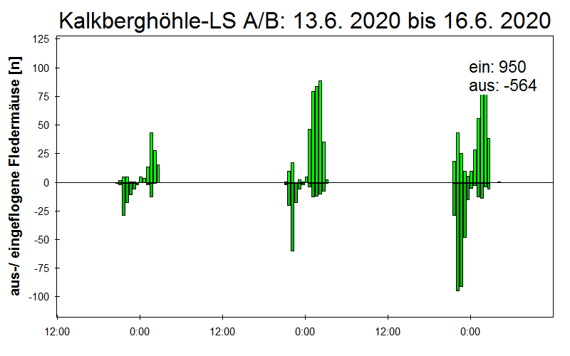 [Fledermaus] Lichtschranke: Segeberger Kalkberg (NABU Schleswig-Holstein)