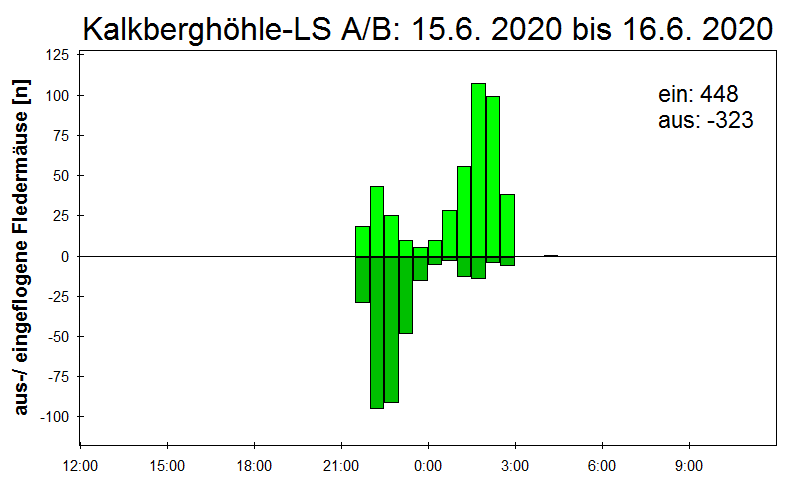 [Fledermaus] Lichtschranke: Segeberger Kalkberg (NABU Schleswig-Holstein)