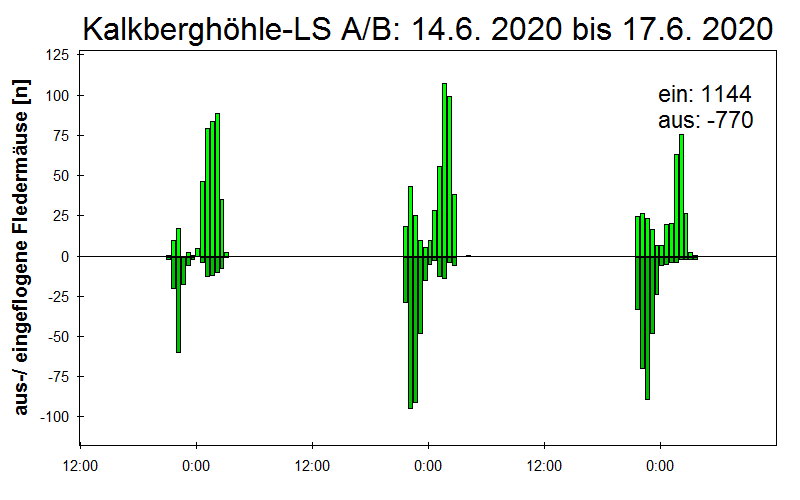 [Fledermaus] Lichtschranke: Segeberger Kalkberg (NABU Schleswig-Holstein)