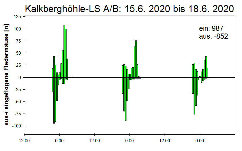 [Fledermaus] Lichtschranke: Segeberger Kalkberg (NABU Schleswig-Holstein)