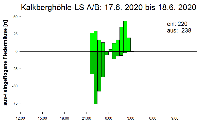 [Fledermaus] Lichtschranke: Segeberger Kalkberg (NABU Schleswig-Holstein)