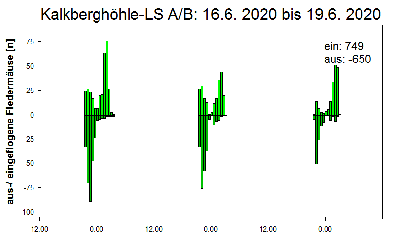 [Fledermaus] Lichtschranke: Segeberger Kalkberg (NABU Schleswig-Holstein)