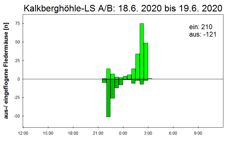 [Fledermaus] Lichtschranke: Segeberger Kalkberg (NABU Schleswig-Holstein)