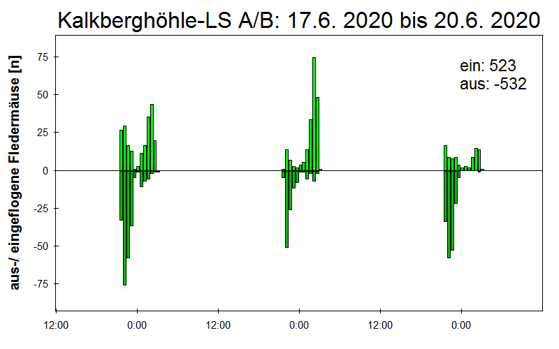 [Fledermaus] Lichtschranke: Segeberger Kalkberg (NABU Schleswig-Holstein)