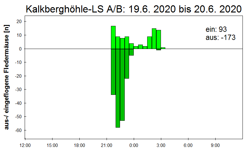 [Fledermaus] Lichtschranke: Segeberger Kalkberg (NABU Schleswig-Holstein)