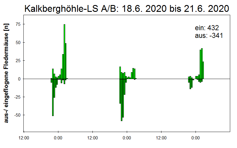 [Fledermaus] Lichtschranke: Segeberger Kalkberg (NABU Schleswig-Holstein)