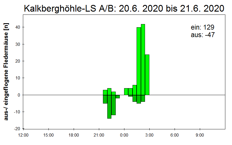 [Fledermaus] Lichtschranke: Segeberger Kalkberg (NABU Schleswig-Holstein)