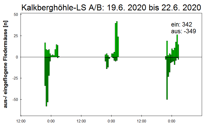 [Fledermaus] Lichtschranke: Segeberger Kalkberg (NABU Schleswig-Holstein)