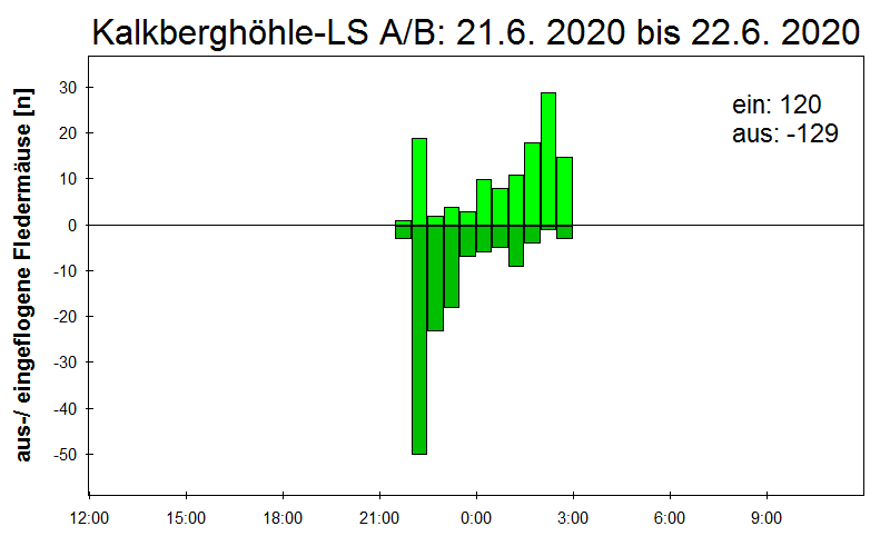 [Fledermaus] Lichtschranke: Segeberger Kalkberg (NABU Schleswig-Holstein)