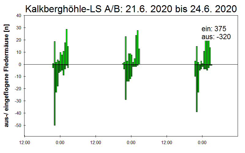 [Fledermaus] Lichtschranke: Segeberger Kalkberg (NABU Schleswig-Holstein)