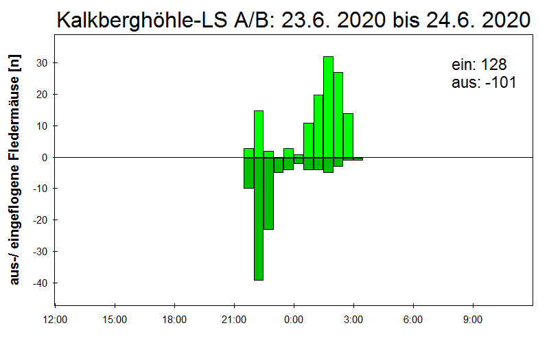 [Fledermaus] Lichtschranke: Segeberger Kalkberg (NABU Schleswig-Holstein)