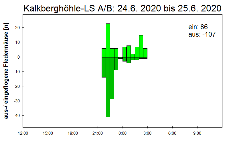[Fledermaus] Lichtschranke: Segeberger Kalkberg (NABU Schleswig-Holstein)