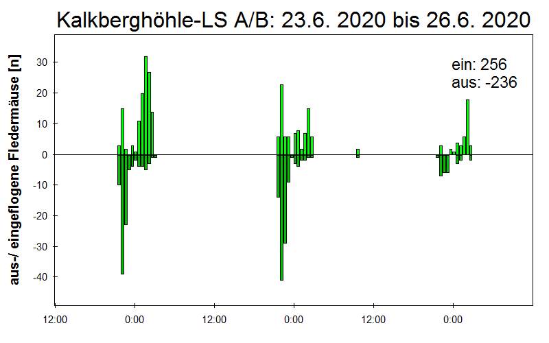 [Fledermaus] Lichtschranke: Segeberger Kalkberg (NABU Schleswig-Holstein)