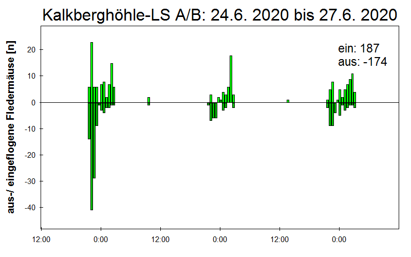 [Fledermaus] Lichtschranke: Segeberger Kalkberg (NABU Schleswig-Holstein)