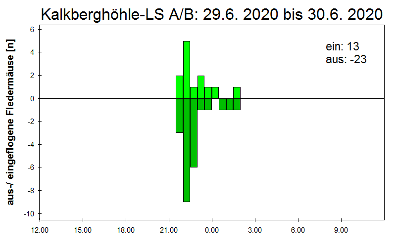 [Fledermaus] Lichtschranke: Segeberger Kalkberg (NABU Schleswig-Holstein)