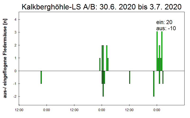 [Fledermaus] Lichtschranke: Segeberger Kalkberg (NABU Schleswig-Holstein)
