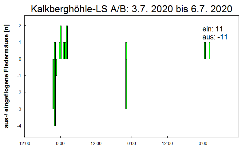 [Fledermaus] Lichtschranke: Segeberger Kalkberg (NABU Schleswig-Holstein)