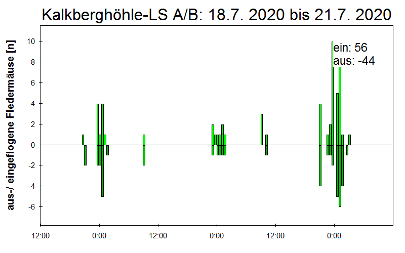 [Fledermaus] Lichtschranke: Segeberger Kalkberg (NABU Schleswig-Holstein)