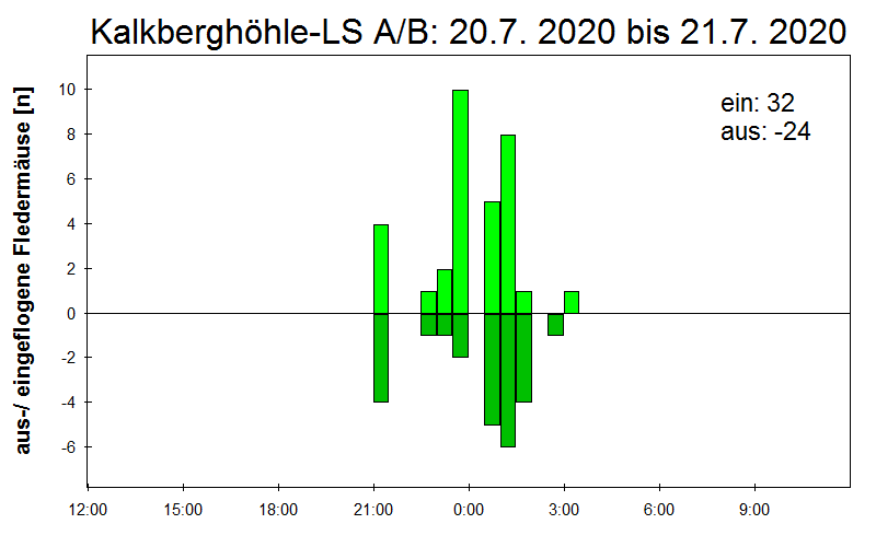 [Fledermaus] Lichtschranke: Segeberger Kalkberg (NABU Schleswig-Holstein)