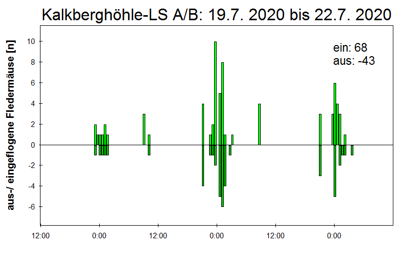 [Fledermaus] Lichtschranke: Segeberger Kalkberg (NABU Schleswig-Holstein)